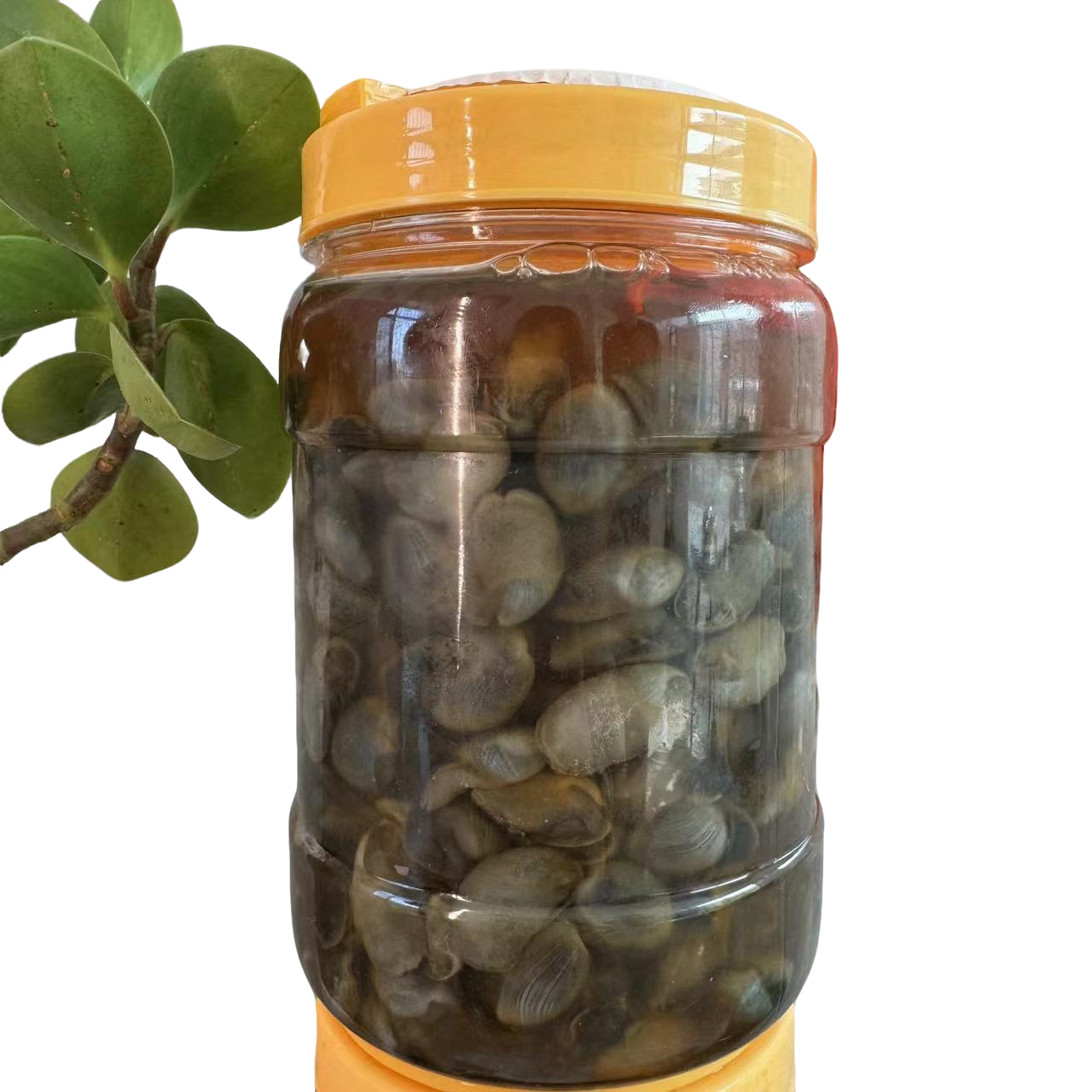 2.3斤天兴泥螺吐沙黄泥螺大号丹东东港特产开盖即食鲜美脆爽腌制