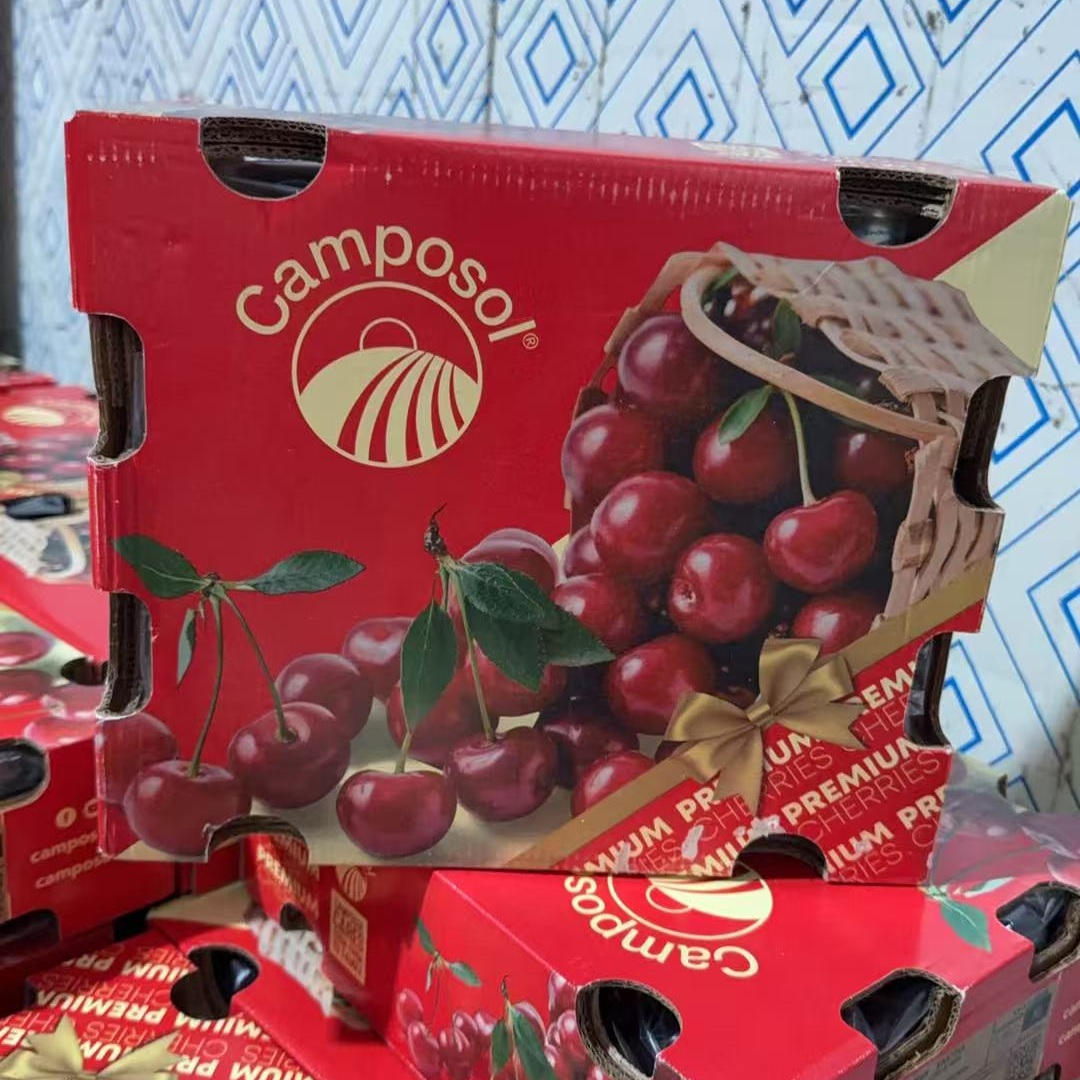 【江浙沪次日达】智利camposol桑提娜车厘子5斤JD空运内附果径卡（13）桑提娜樱桃智利共和国