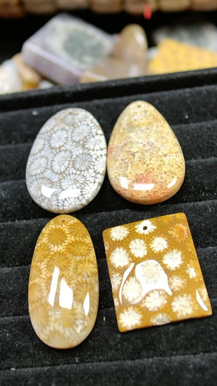 合金石英石笨**猫25；28.29.35