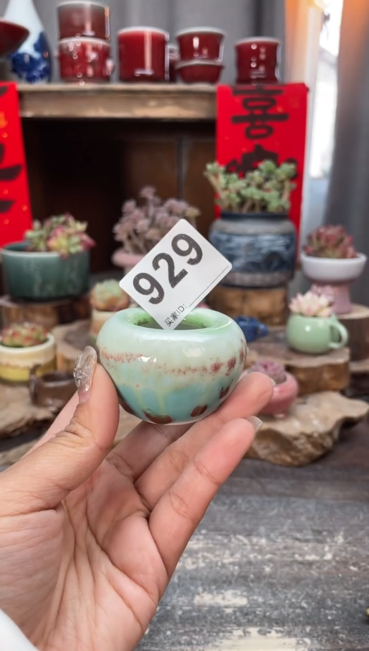 【闪购商品】摆件929知木小芳花盆