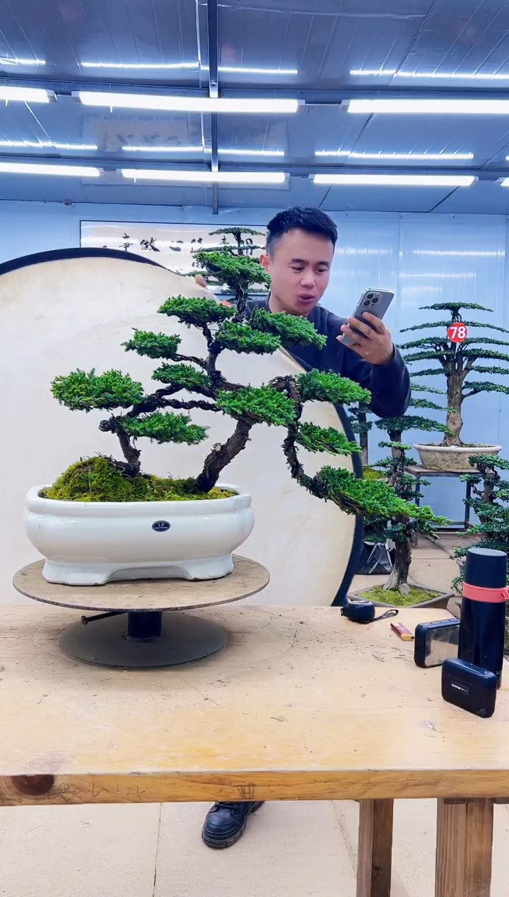 无花朵000000000000000000000