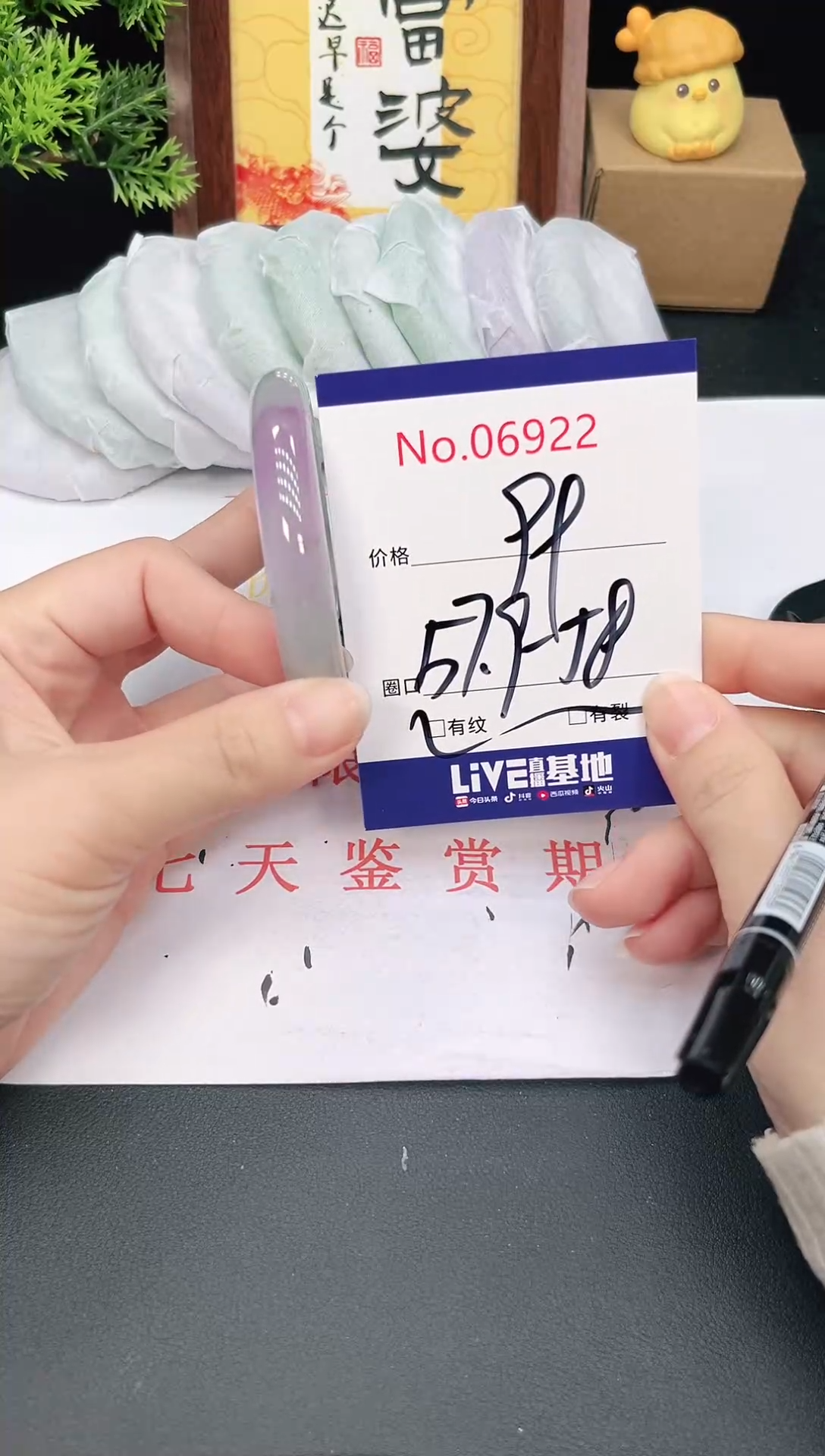 未镶嵌手镯翡翠6922