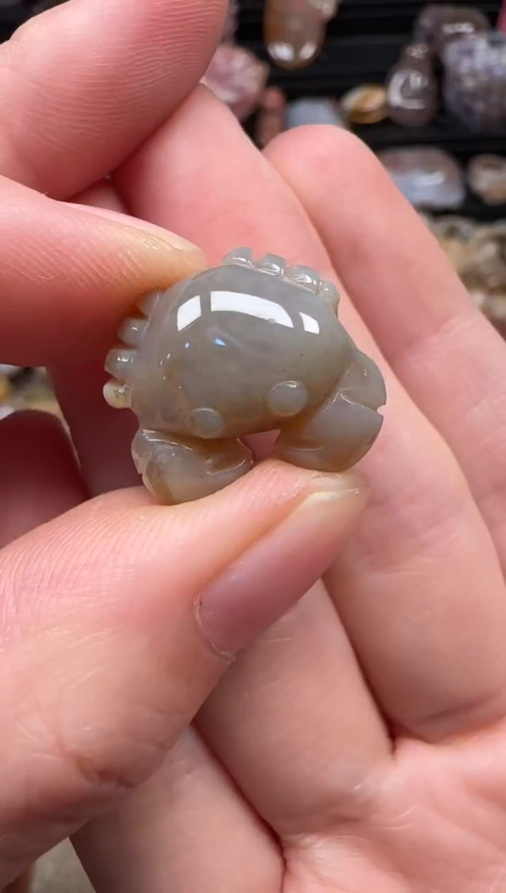 颈饰未镶嵌硅化珊瑚（珊瑚玉）089