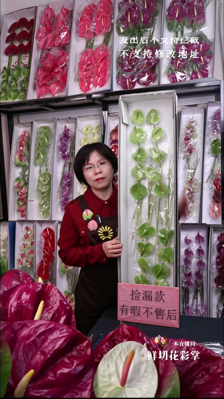 绿掌迷你掌20支(15-20cm，横冠幅6cm)微瑕无售后慎拍