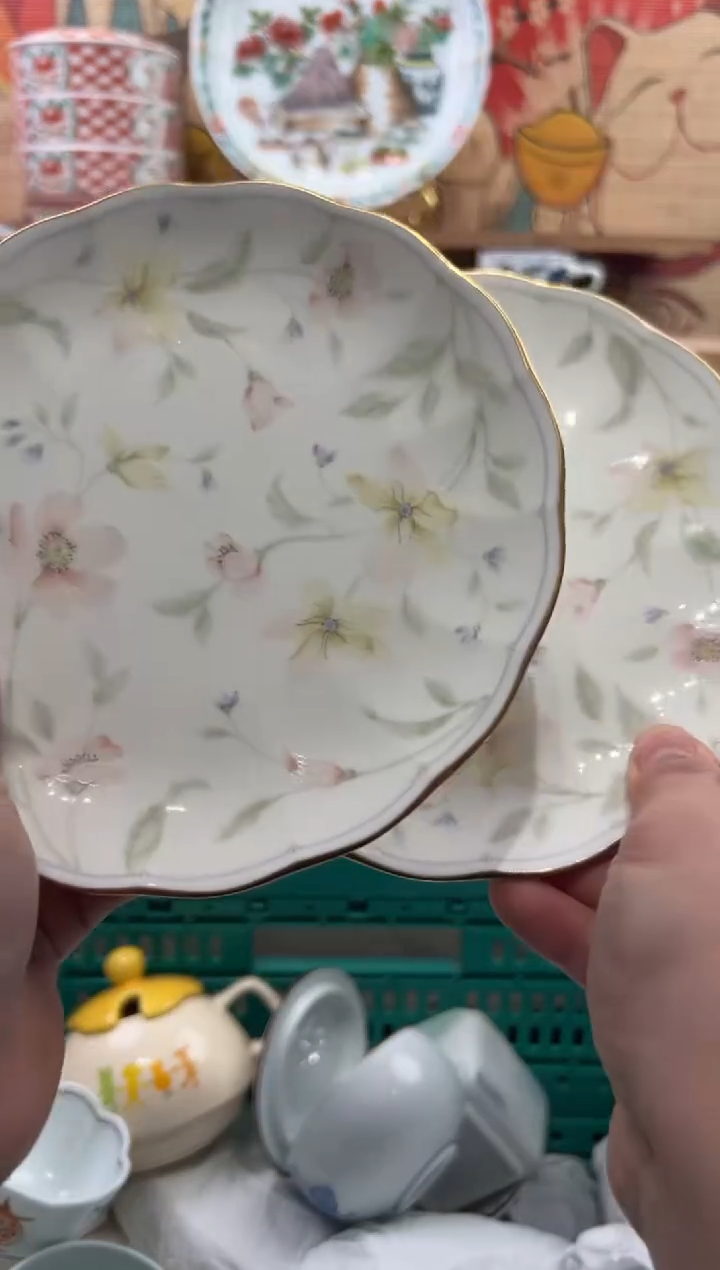 瓷片精****儿瓷片------N487