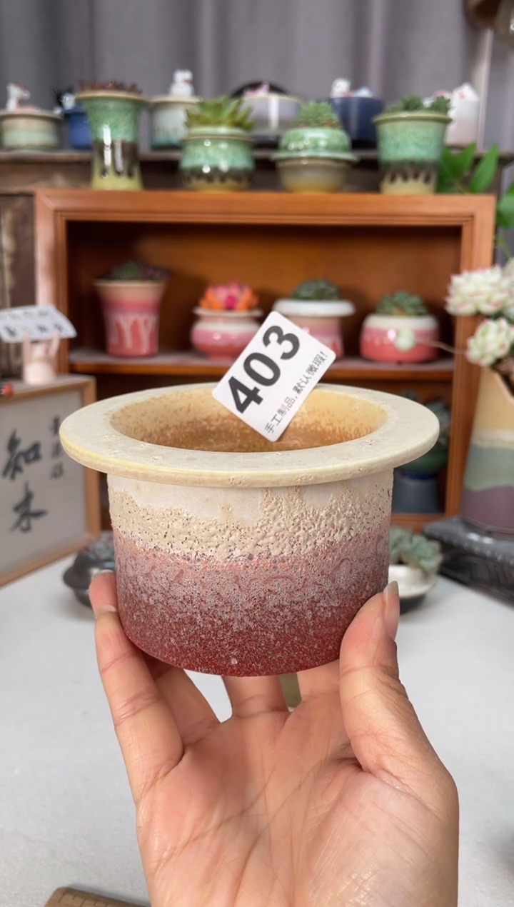 瓷片音**?403知木小芳花盆编号