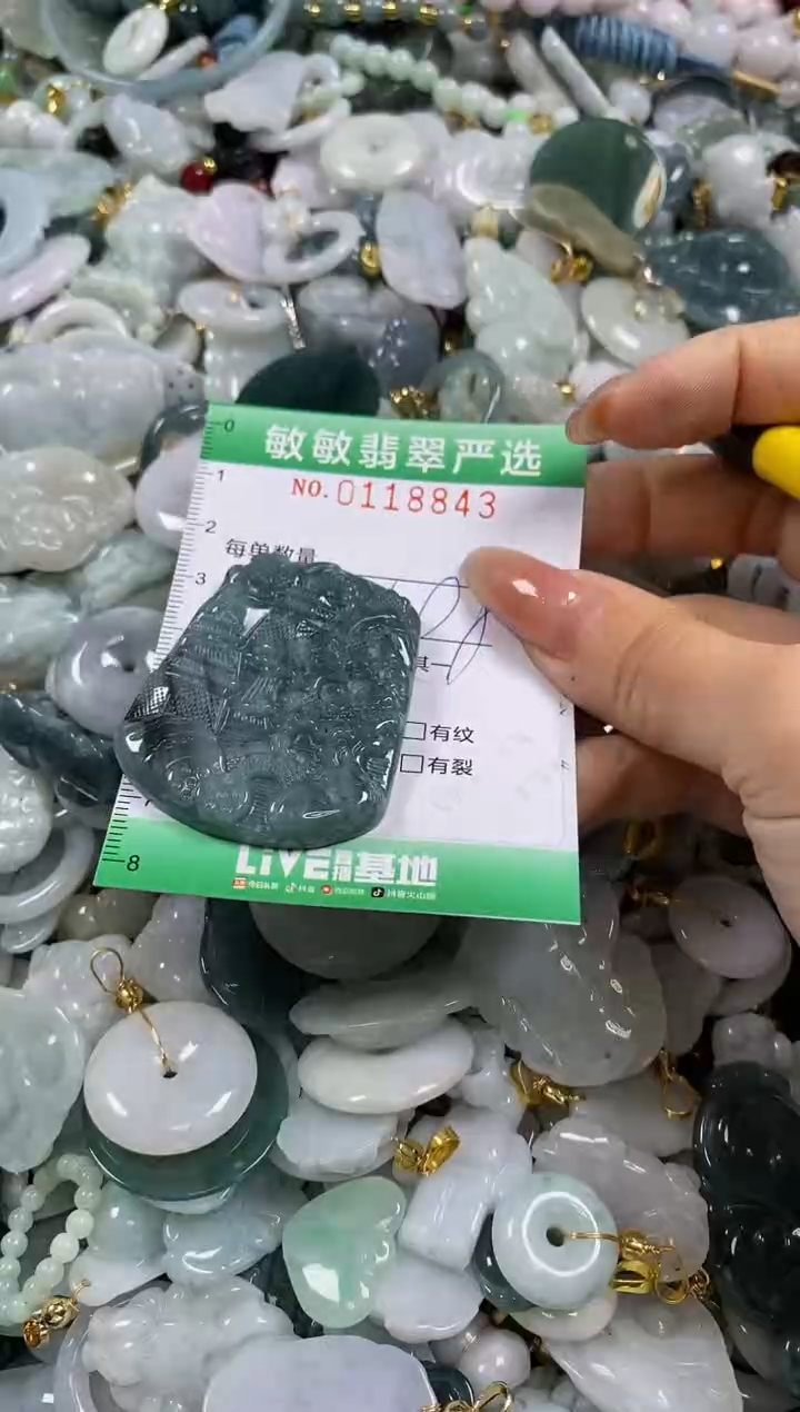 【闪购商品】翡翠颈饰未镶嵌闪购0118843