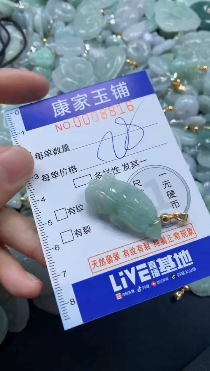 颈饰未镶嵌翡翠8816