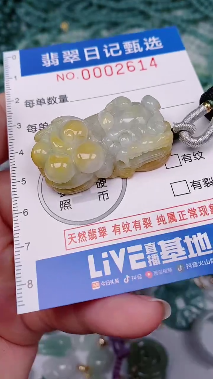 【闪购商品】翡翠颈饰未镶嵌00002614