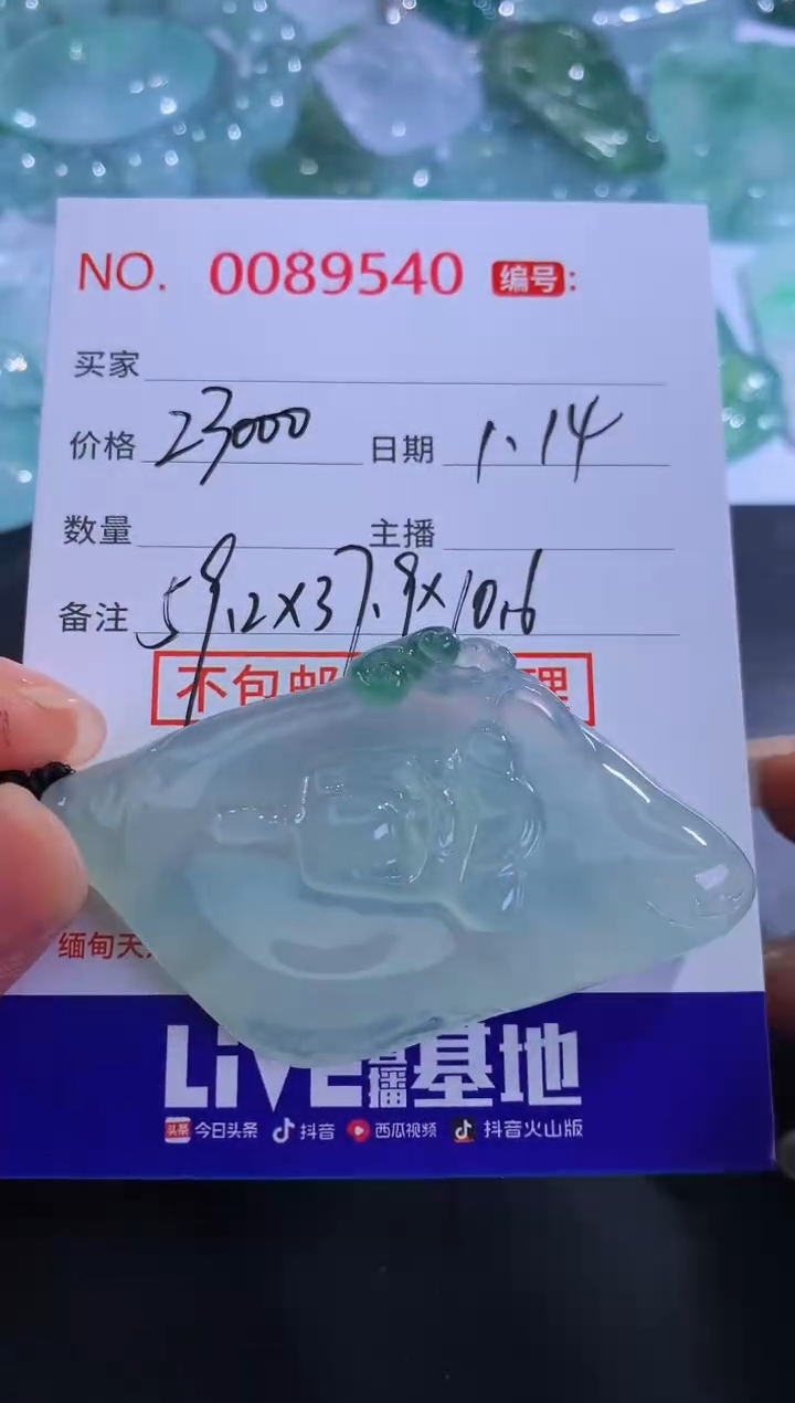 【闪购商品】翡翠颈饰未镶嵌！