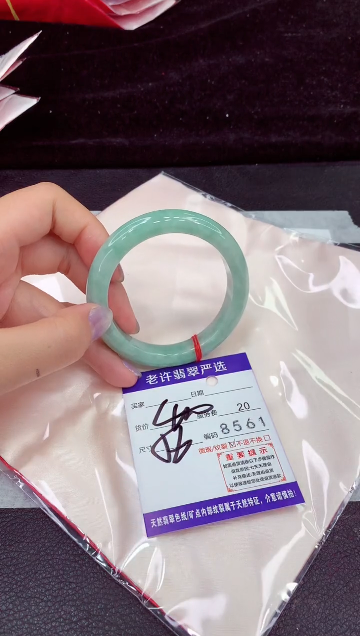 未镶嵌手镯翡翠1