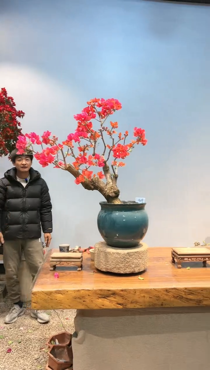 【闪购商品】AA909