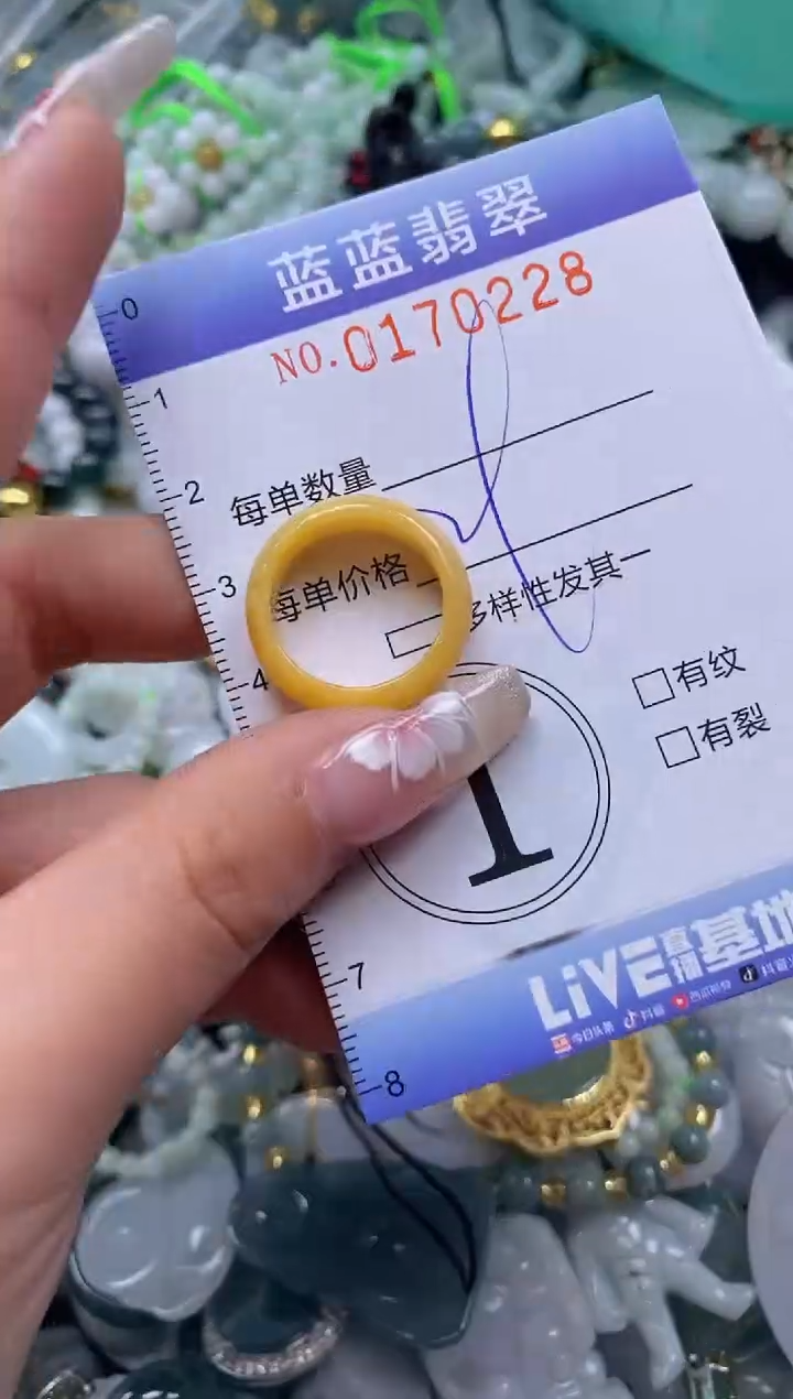 【闪购商品】翡翠颈饰未镶嵌闪购0170228