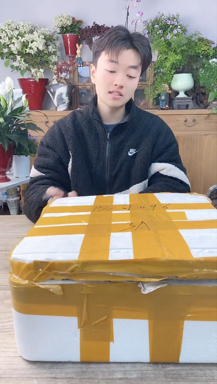 小玩子花盆直播号399