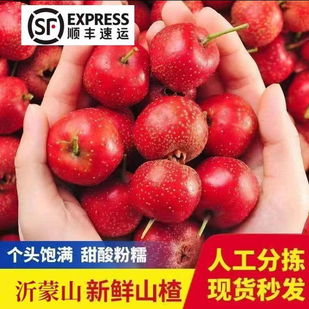 【寒冷地区专属】大金星大五棱大棉球甜红子鲜果山楂泡沫箱保温发货