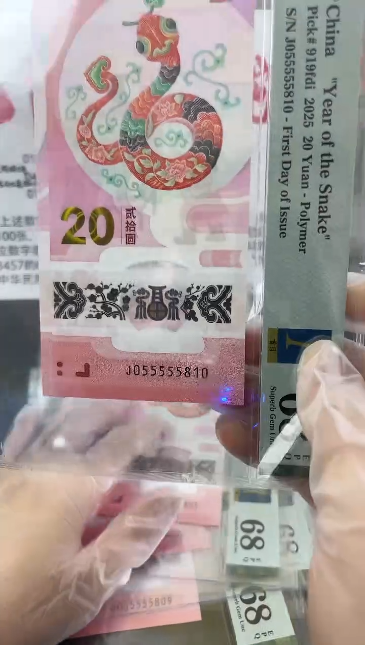 【闪购商品】塑料蛇年纪念钞九龙令05555头尾号810