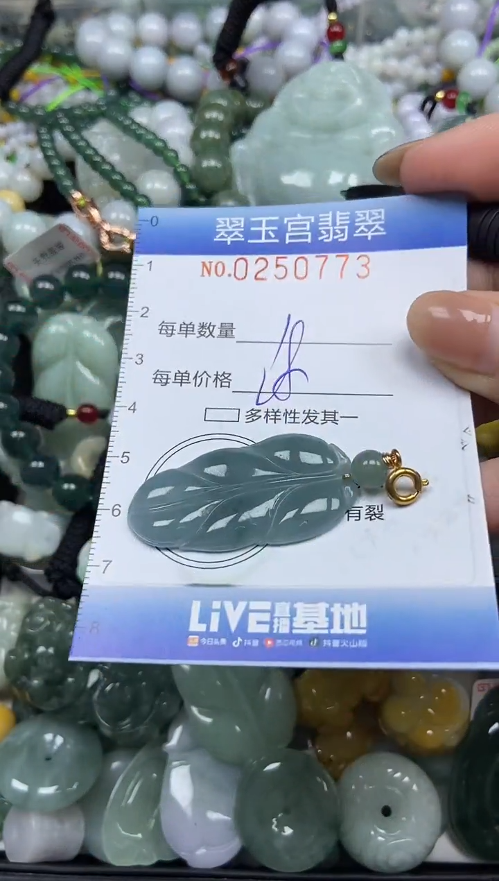 颈饰未镶嵌翡翠闪购C0250773