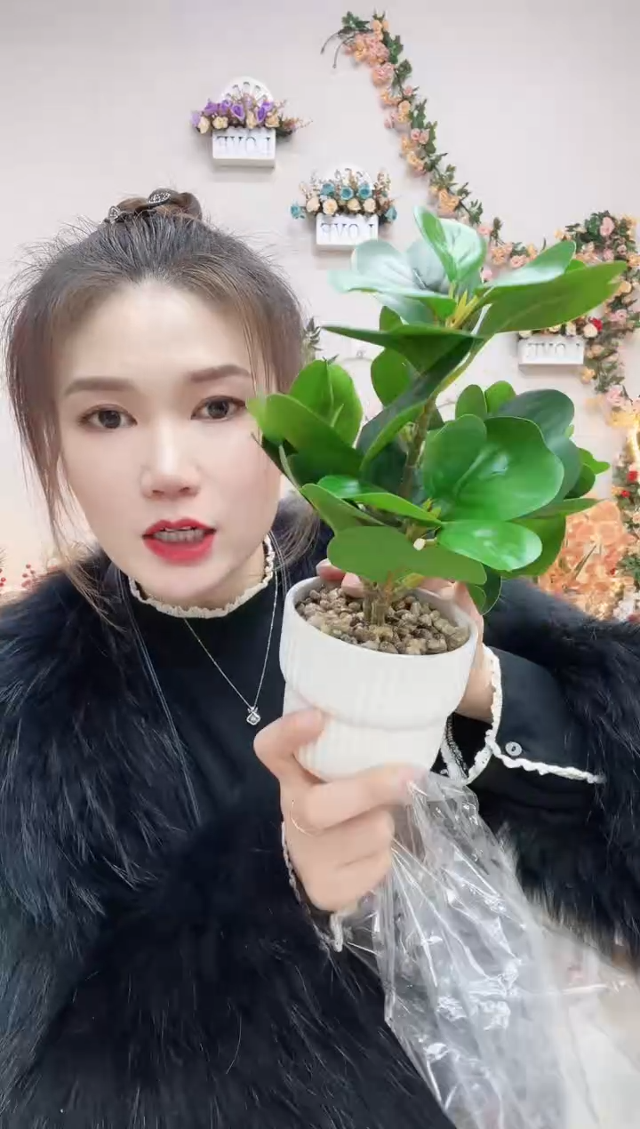 仿真绿支豆瓣绿   