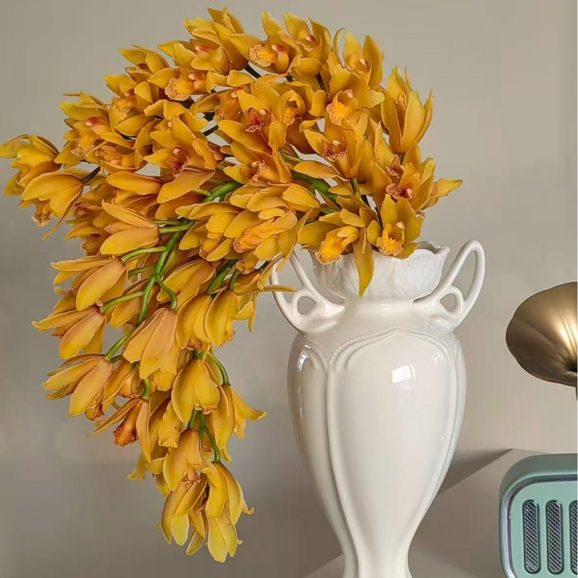 拱兰黄龙 6支剑起 金色大花蕙年宵花开花/半开发货 230盆阳台室内