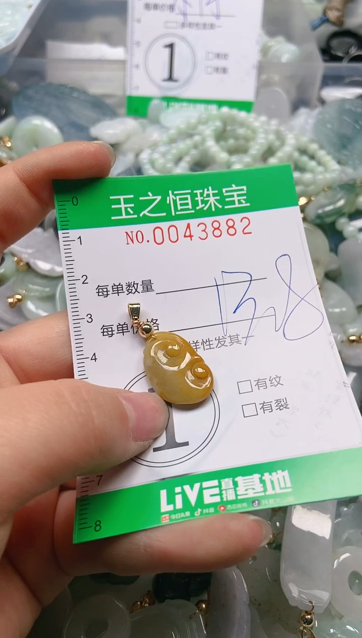 【闪购商品】翡翠颈饰未镶嵌闪购0043882