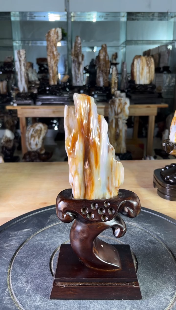 【闪购商品】硅化玉珠宝奇石未镶嵌1