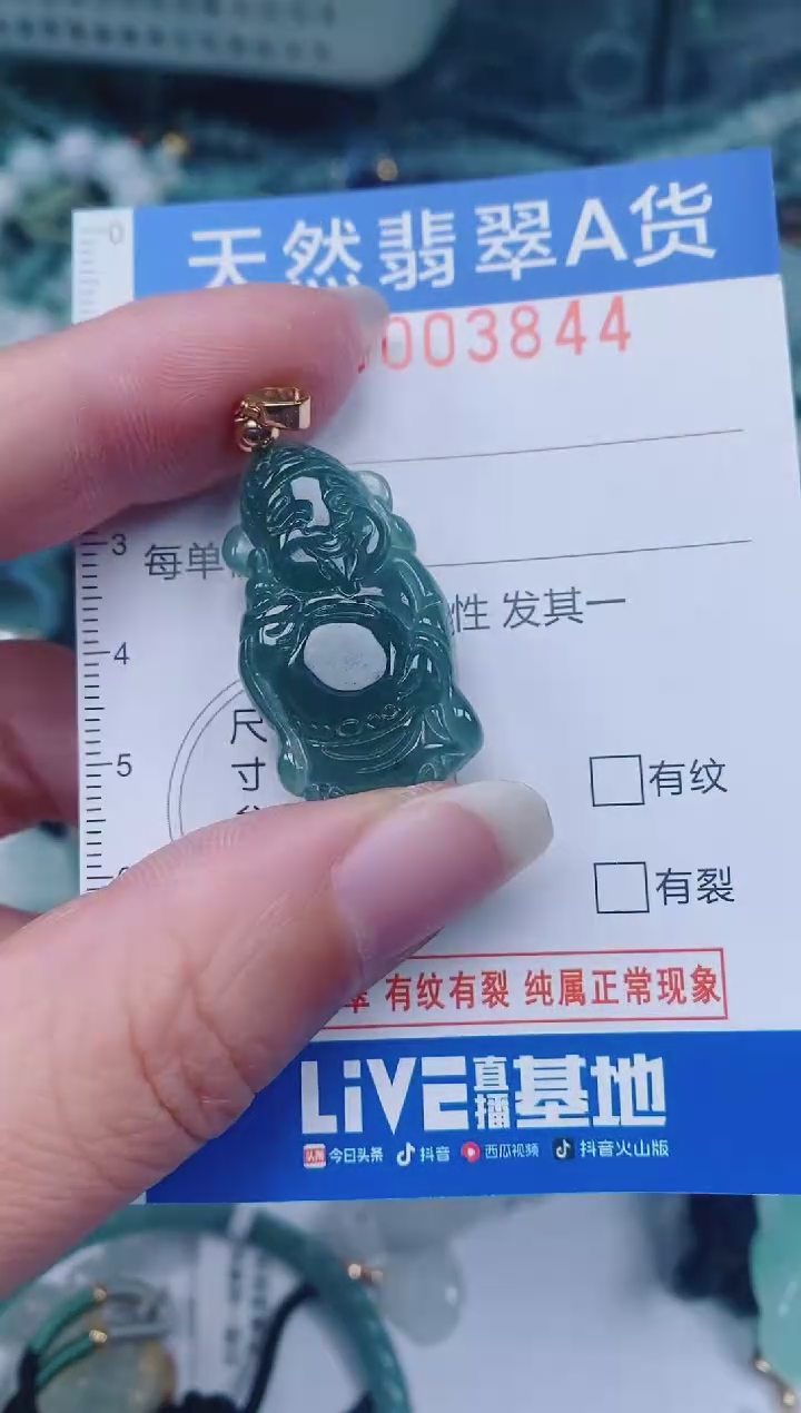 颈饰未镶嵌翡翠00003844