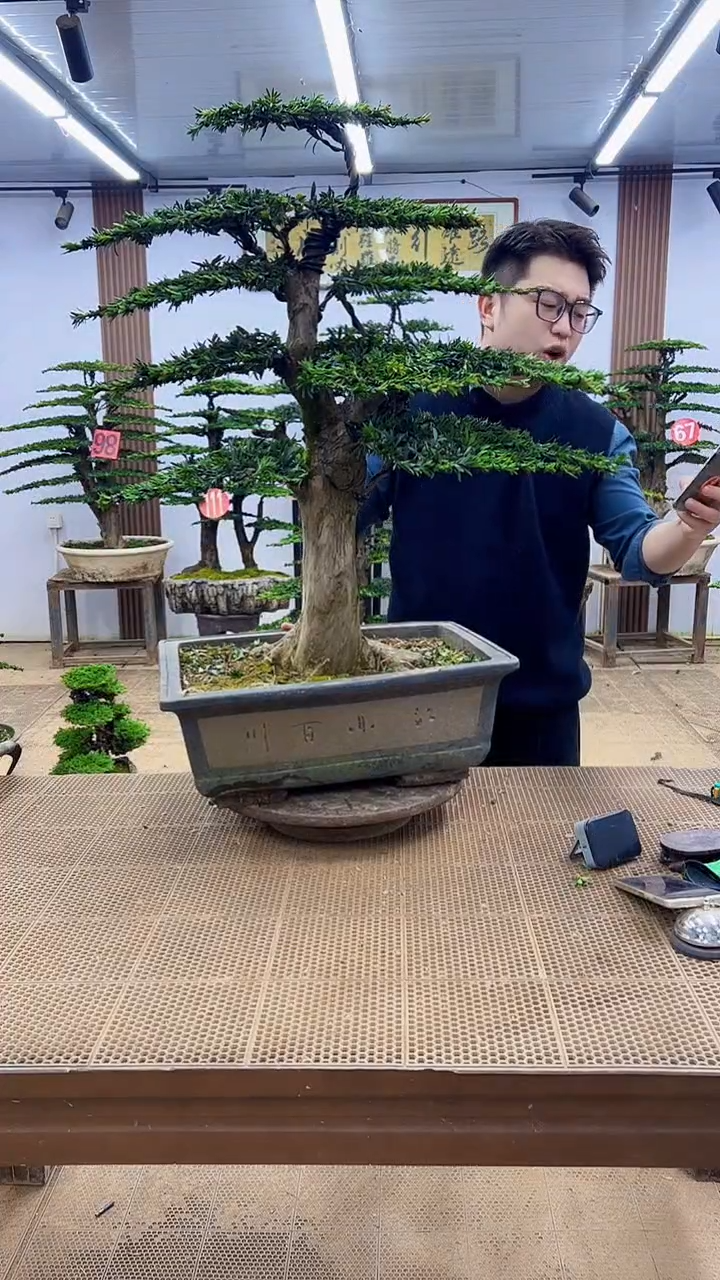 无花朵0000000000000