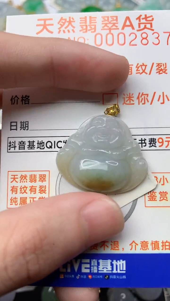 【闪购商品】翡翠颈饰18K金镶嵌6..............