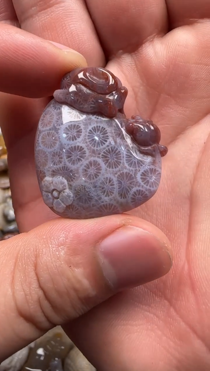 【闪购商品】硅化珊瑚（珊瑚玉）颈饰未镶嵌533