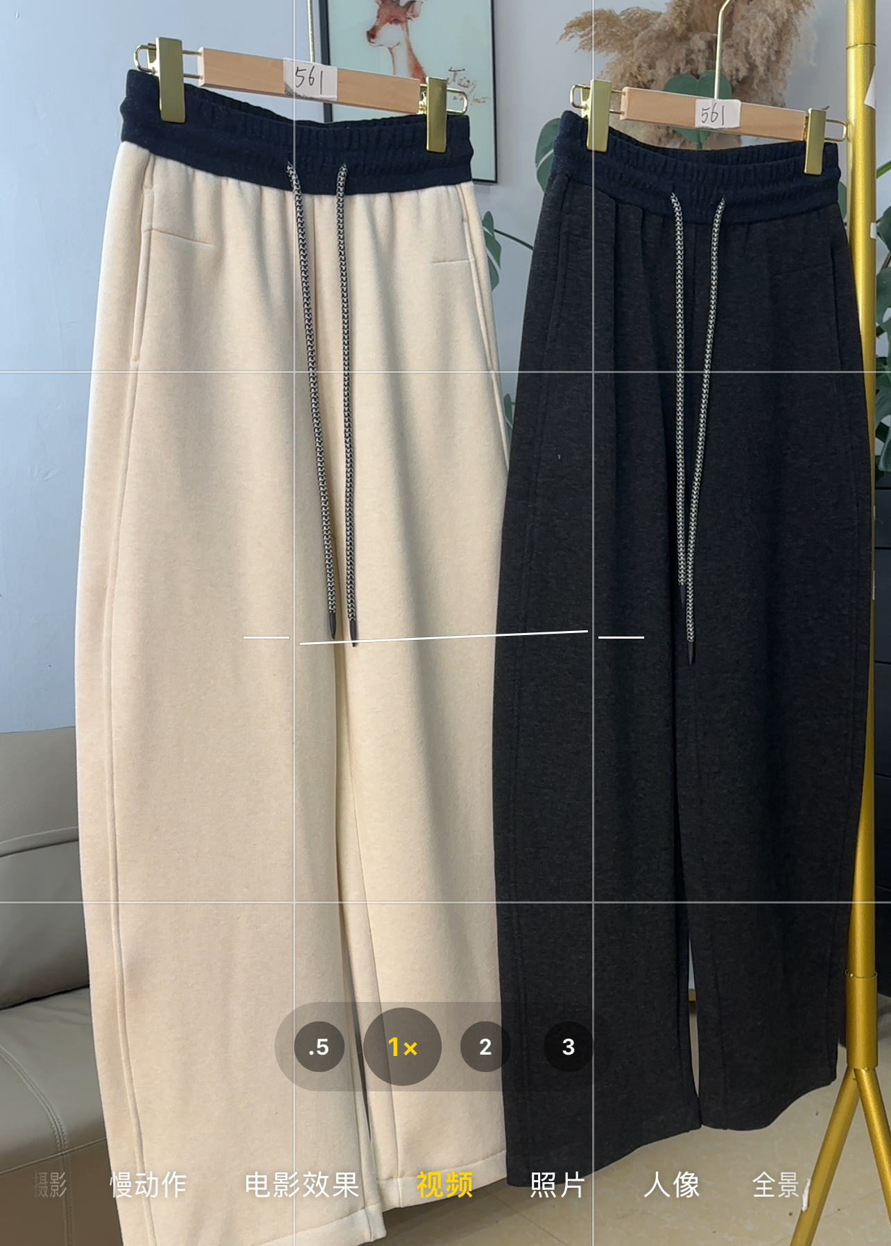 #561#松弛休闲裤 #2568#DP