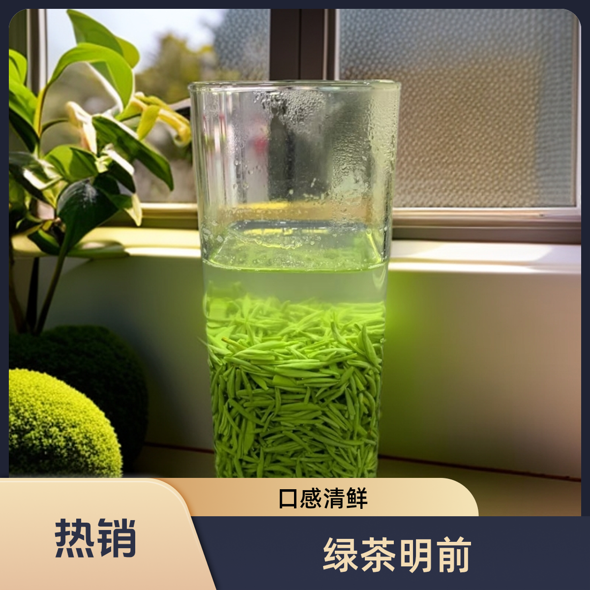 七号链接  明前雪芽  雪之巅 臻品选芯  米芽  兰香甘甜！！！！！！！！！