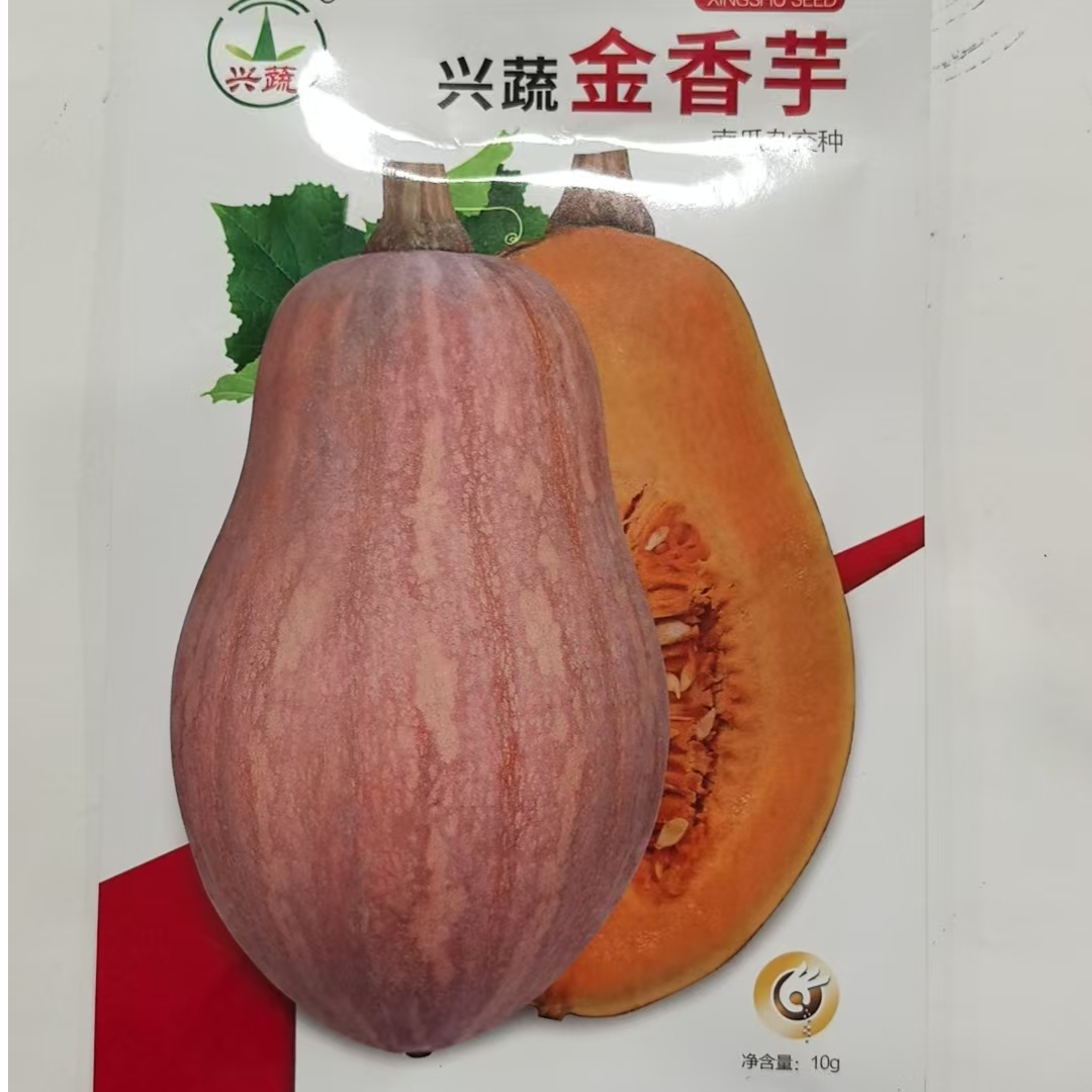10克兴蔬金香芋南瓜种子长势旺盛口感好