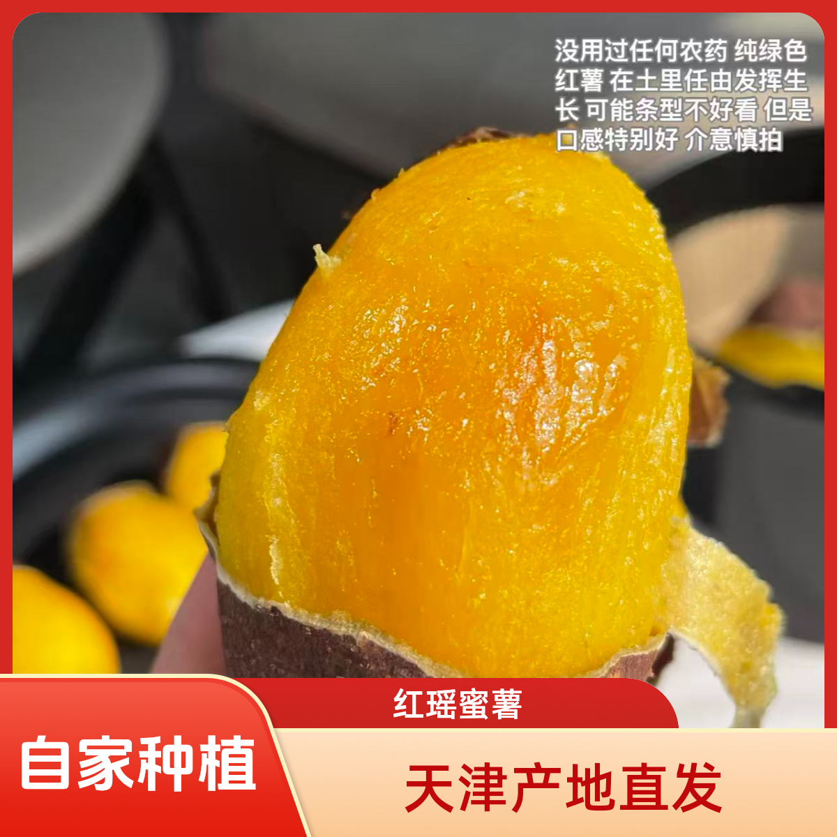 [自产]正宗红瑶红薯榴莲蜜薯 农家肥种植顺丰包邮红瑶蜜薯天津市