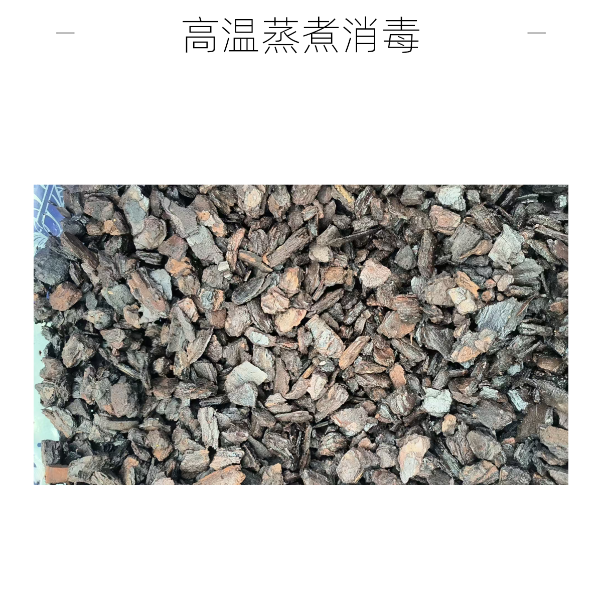 兰花专用松树皮老树皮值料脱脂发酵松树皮