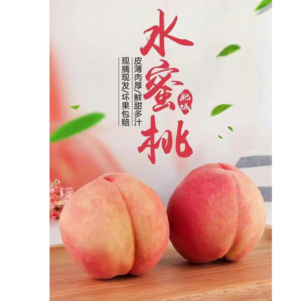 正宗寒露蜜水蜜桃6个装5斤顺丰包邮