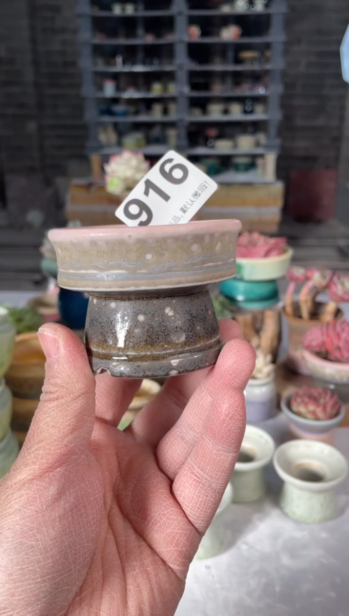 瓷片916小芳直播编号