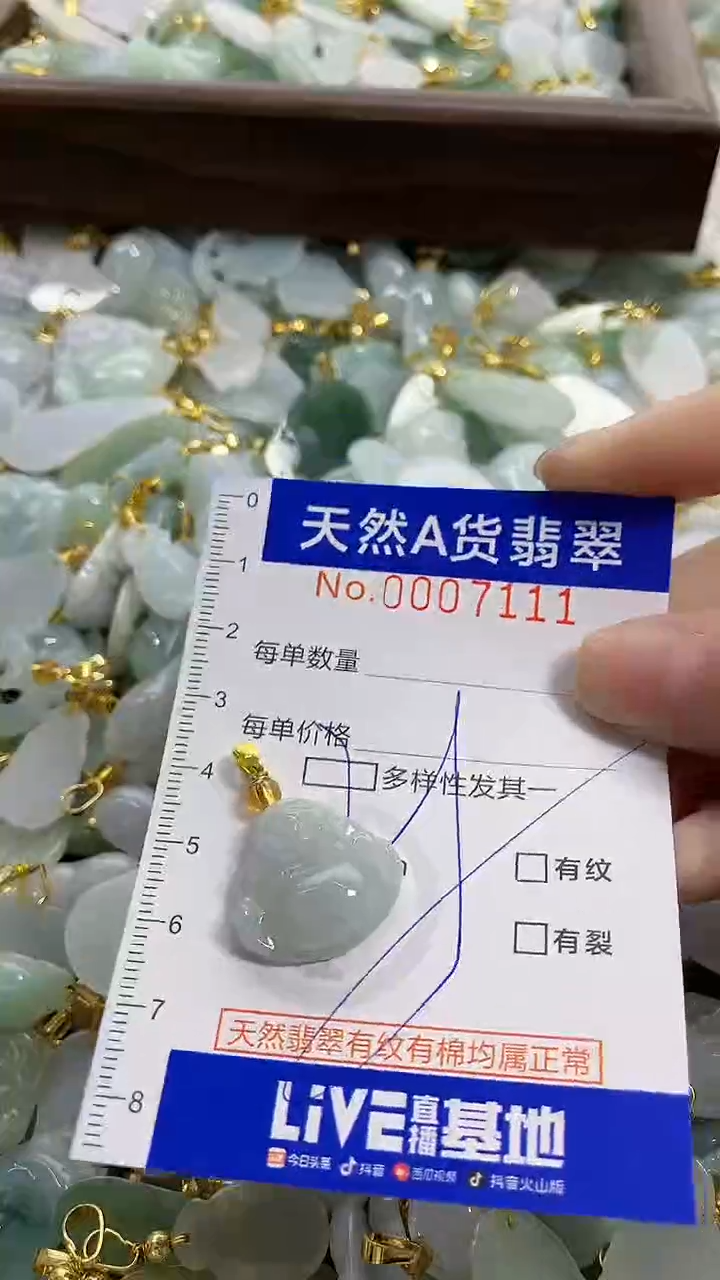 颈饰未镶嵌翡翠天然A货翡翠