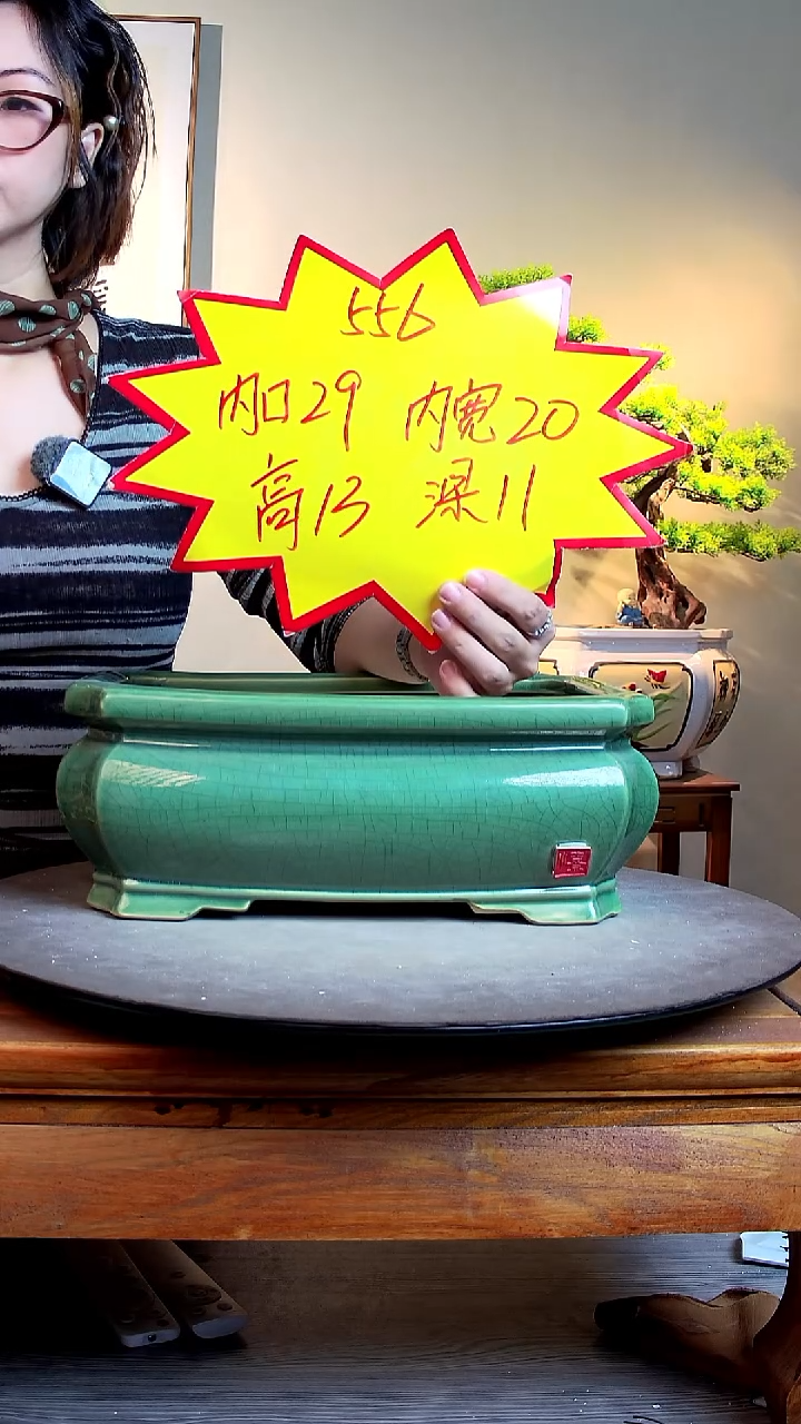 556绿色000000000000000000