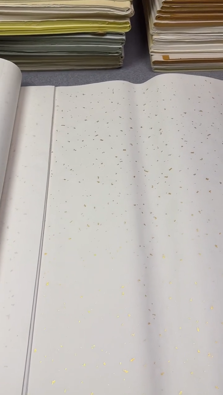 13年四尺 手工 白色  洒金20张