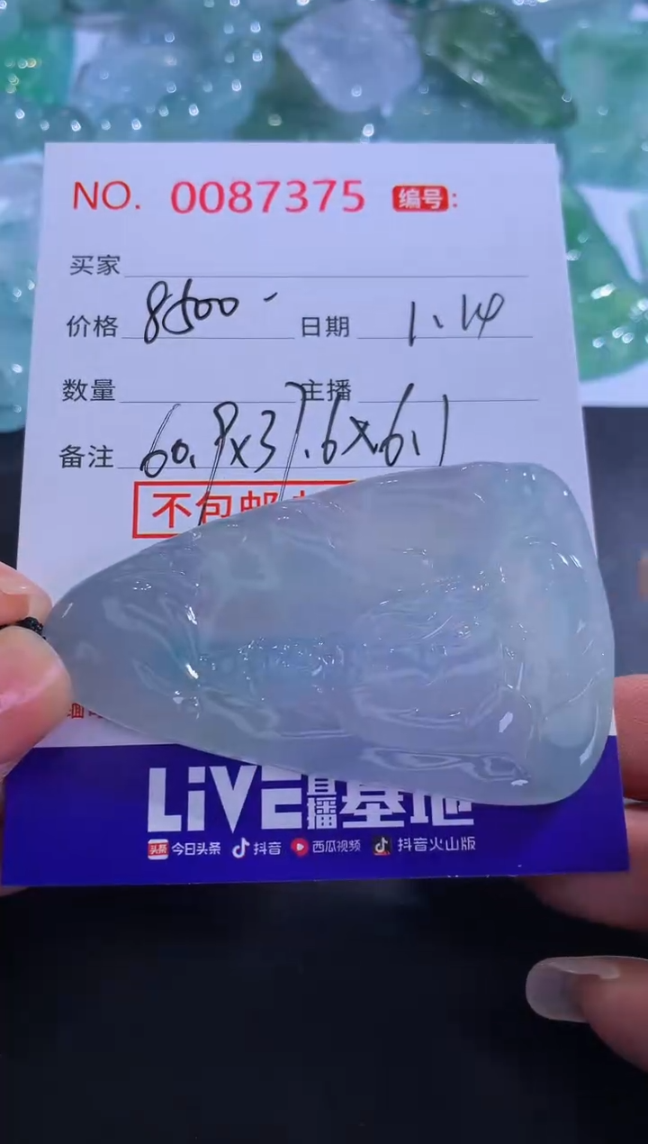 【闪购商品】翡翠颈饰未镶嵌！