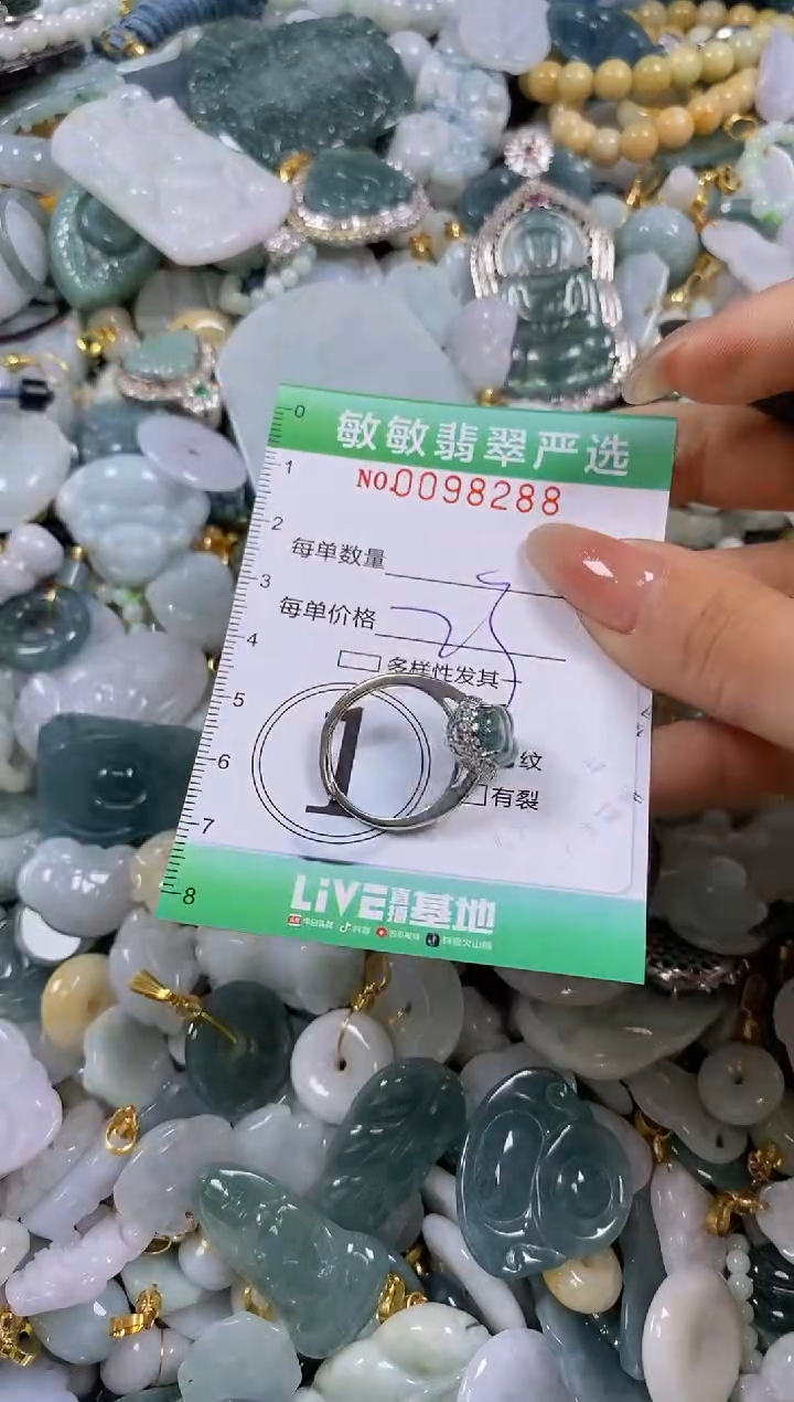 【闪购商品】翡翠颈饰未镶嵌闪购0098288