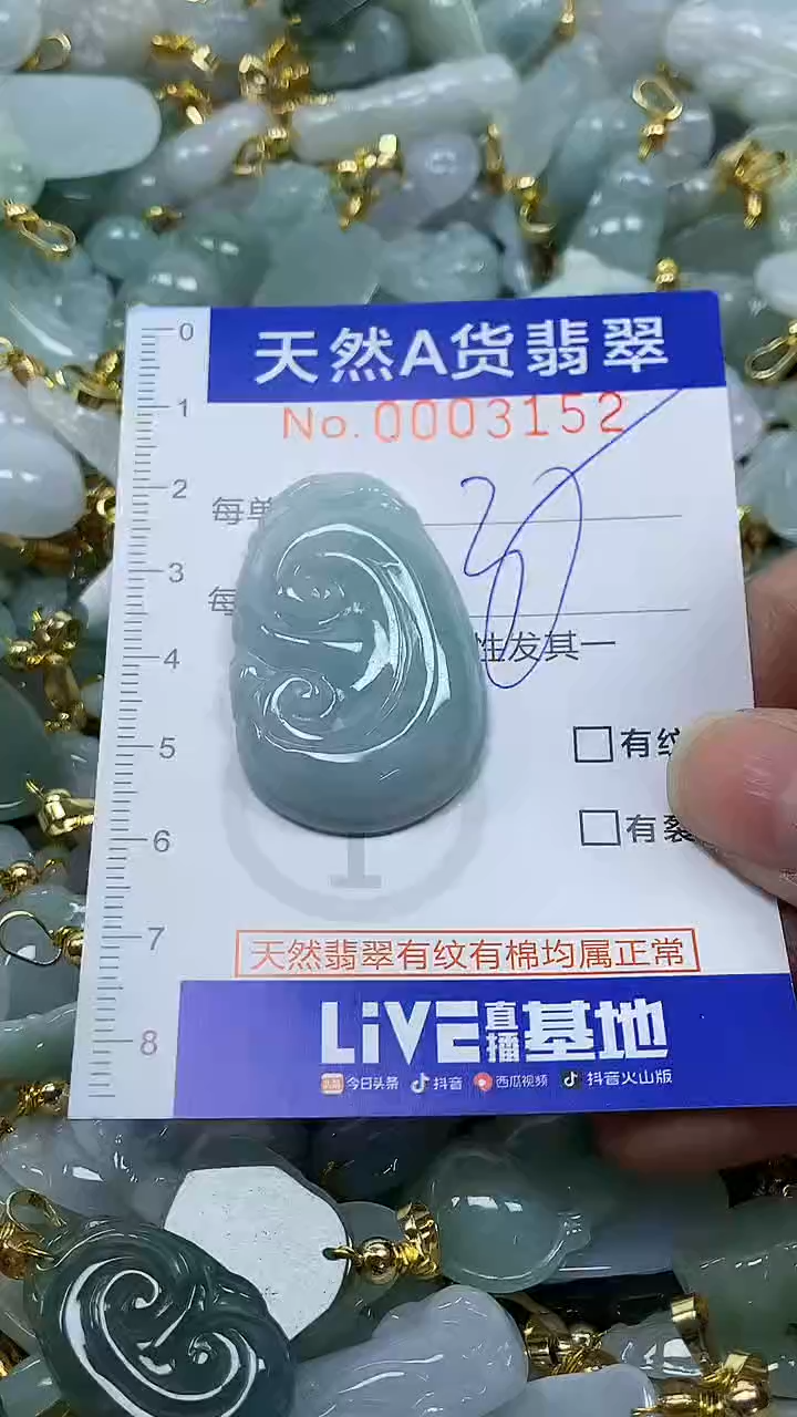 颈饰未镶嵌翡翠纯天然a货翡翠