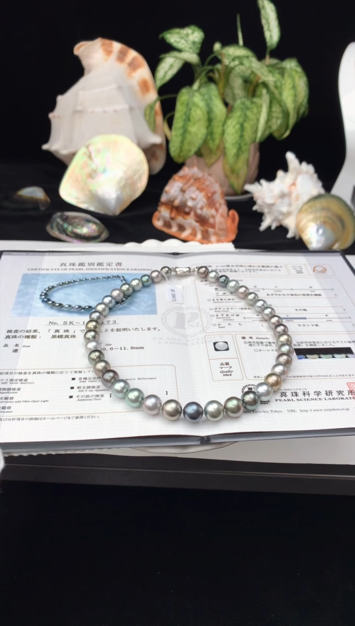 【闪购商品】海水珍珠颈饰银S925镶嵌海水大溪地珍珠项链