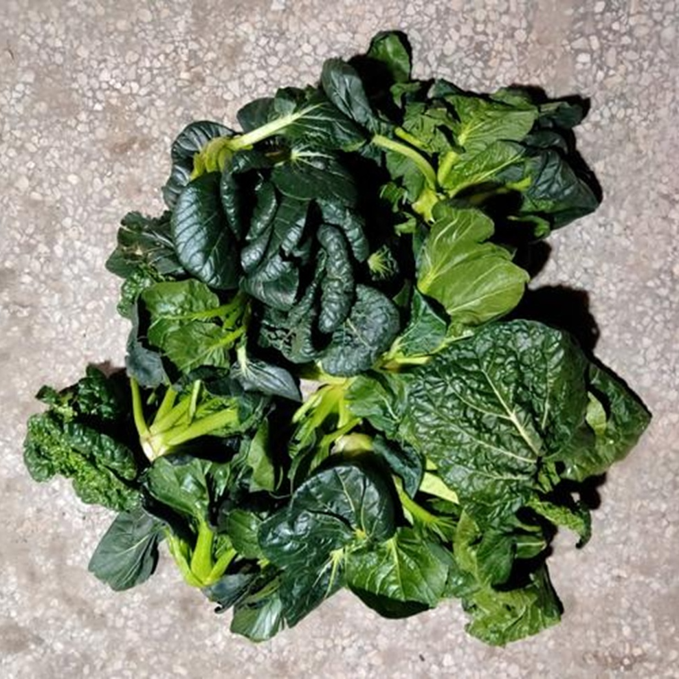 鲜嫩小黑菜 300g 煲汤清炒两相宜