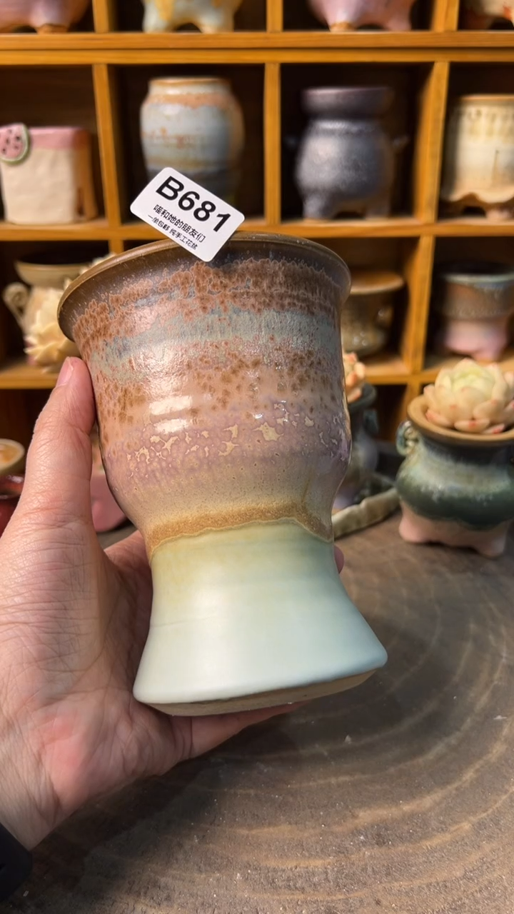 小*茄681【多肉花盆多肉盆】