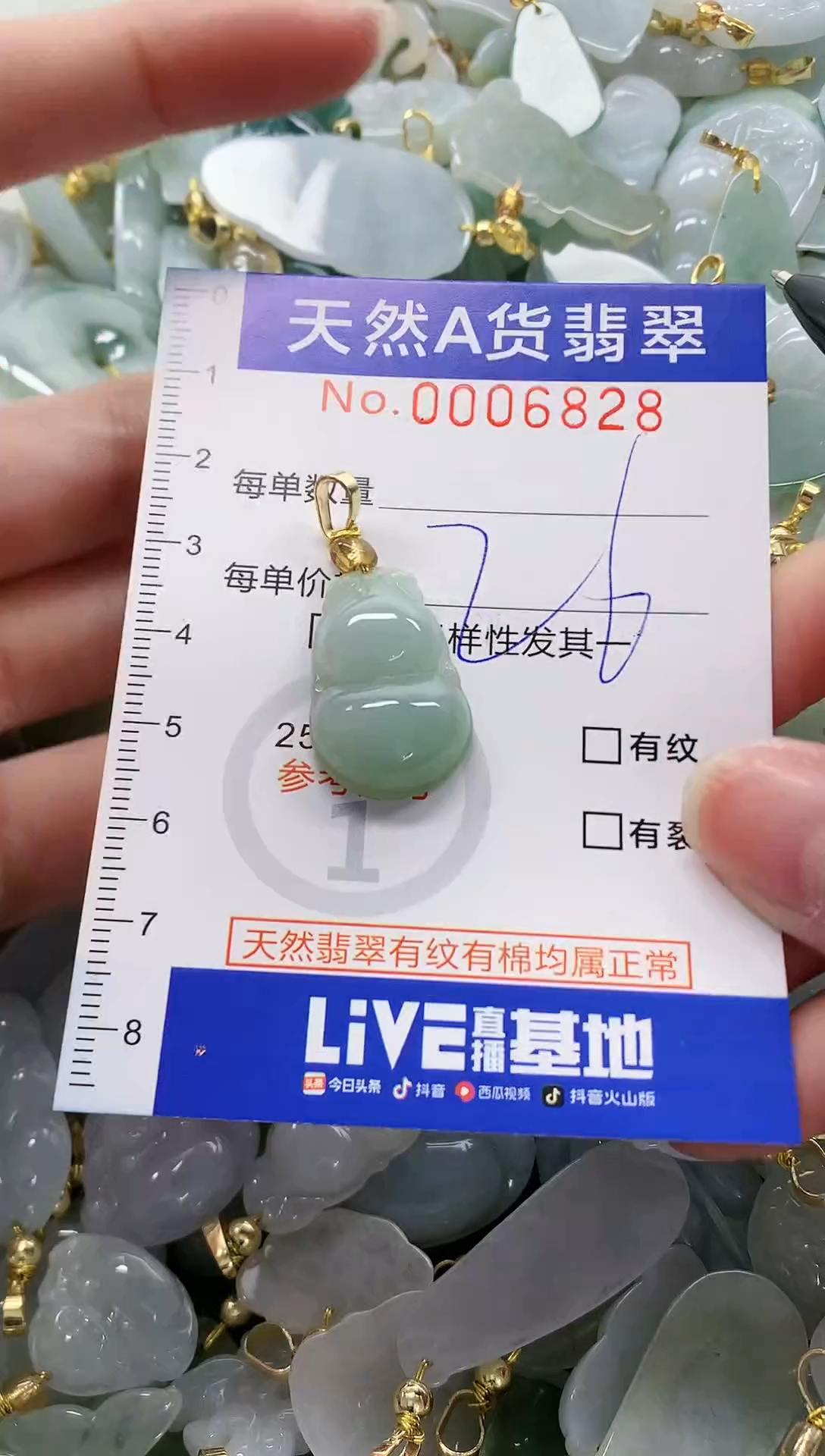 颈饰未镶嵌翡翠纯天然a货翡翠