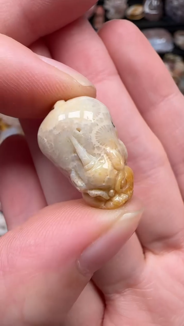 颈饰未镶嵌硅化珊瑚（珊瑚玉）063