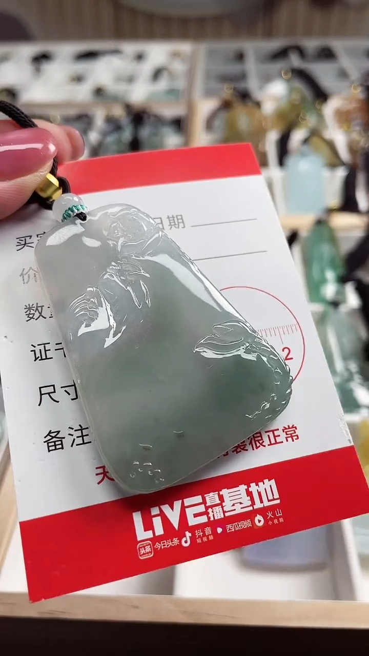 【闪购商品】翡翠颈饰未镶嵌11111111