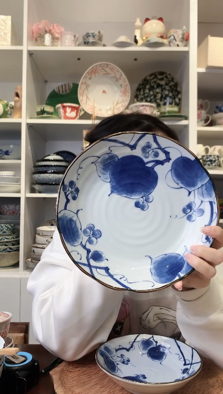 陶瓷【到手两支】美浓烧山归来大号盘22cm