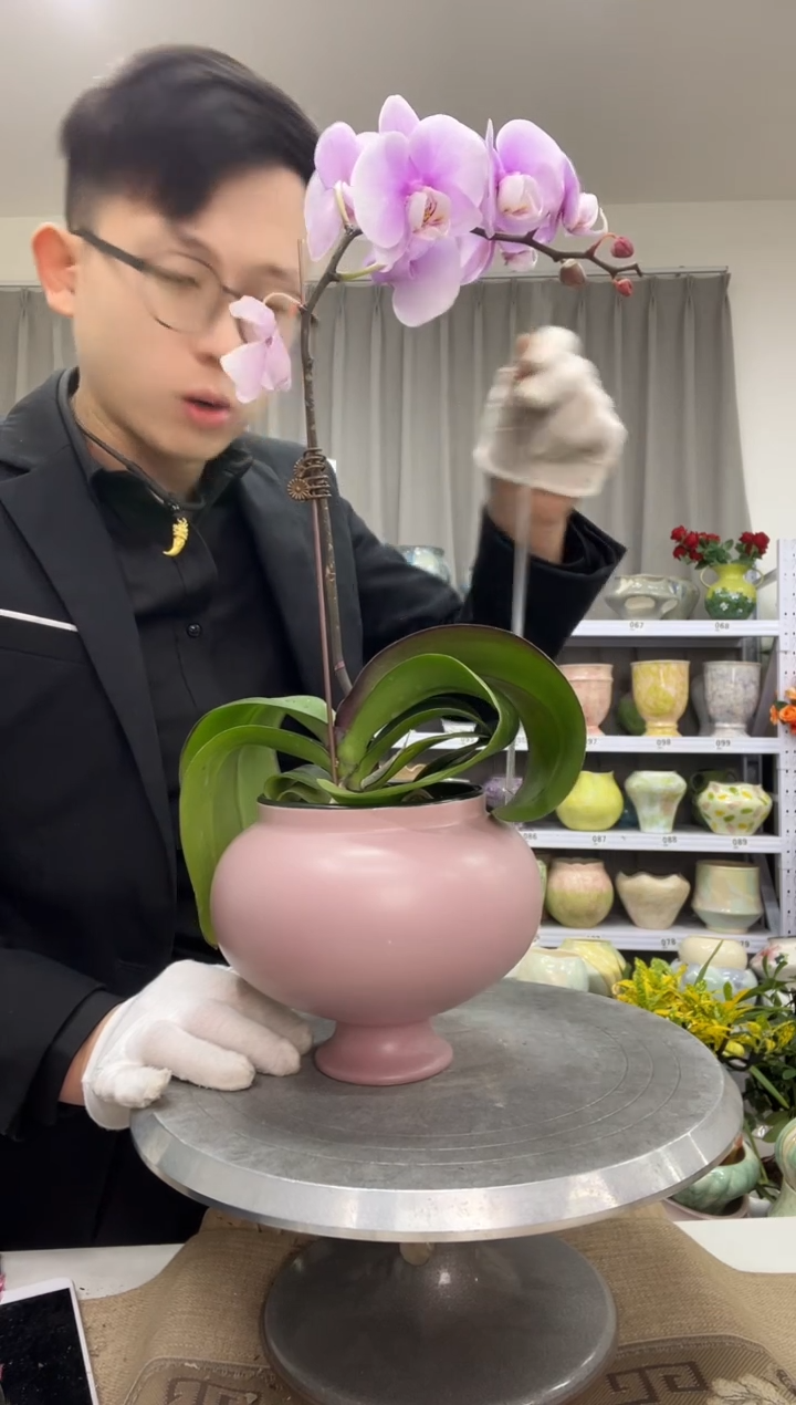 【12.31】花盆链接 高：14  口：11